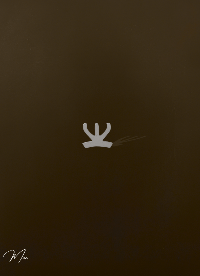 Mae-Setting-style-Henry-Francis