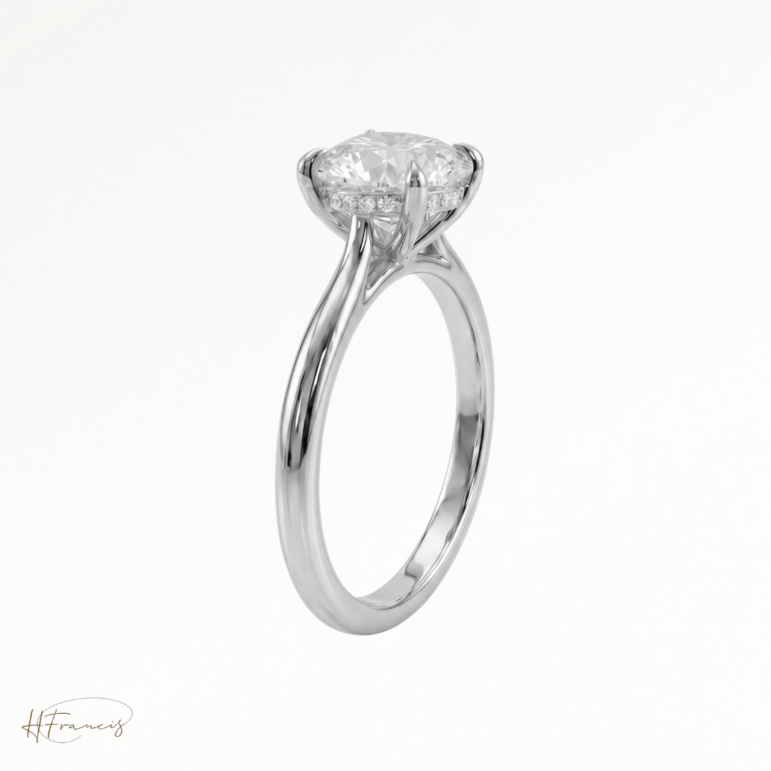 Round Cathedral Hidden Halo solitaire engagement ring in Platinum 