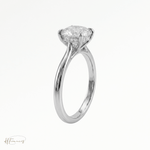 Round Cathedral Hidden Halo solitaire engagement ring in Platinum 